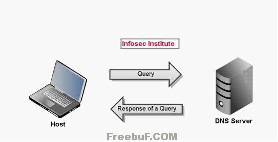 DNS1